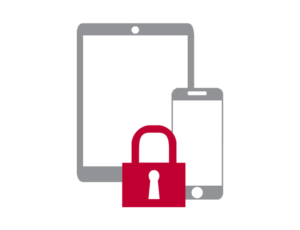 Mibile security