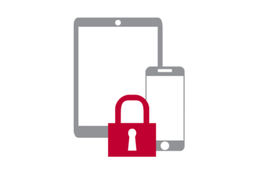 Mibile security